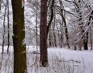 DSC_0153-EDIT.jpg
