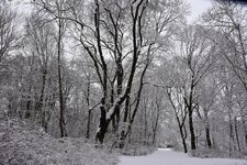 DSC_0108.JPG