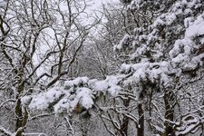 DSC_0185-EDIT.jpg