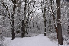 DSC_0100.JPG