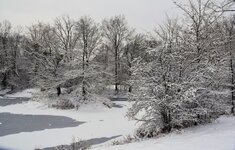 DSC_0097.JPG