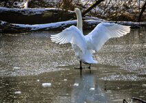 DSC_0127.JPG
