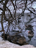 IMG_8162.JPG