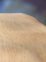 IMG_9893.jpeg