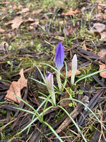 IMG_8183.JPG