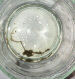 Fund 260305 3.jpg