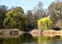 DSC_0042-EDIT.jpg