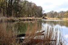 DSC_0103-EDIT.jpg