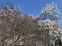IMG_8207.JPG