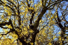DSC_0045-EDIT.jpg