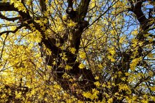 DSC_0053-EDIT.jpg