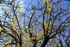 DSC_0050-EDIT.jpg