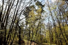 DSC_0120-EDIT.jpg