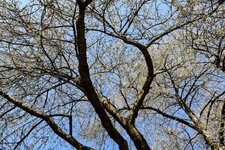 DSC_0148-EDIT.jpg