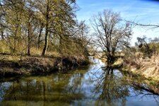 DSC_0064-EDIT.jpg