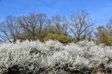 DSC_0091-EDIT.jpg