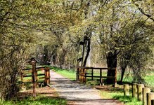 DSC_0044-EDIT.jpg