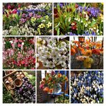 DSC_0033-COLLAGE (2).jpg