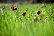 DSC_0188-EDIT.jpg