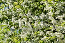 DSC_0574-EDIT.jpg