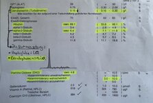 IMG_0404.jpeg