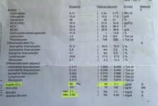 IMG_0405.jpeg