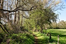DSC_0304-EDIT.jpg