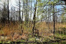 DSC_0344-EDIT.jpg