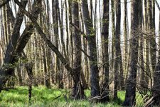 DSC_0626-EDIT.jpg