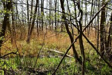 DSC_0340-EDIT.jpg