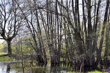 DSC_0441.JPG