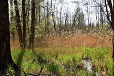 DSC_0359.JPG