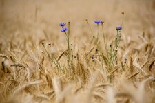 DSC_0304-EDIT.jpg