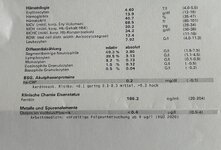 IMG_7907.jpeg