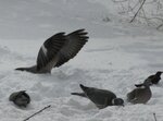 IMG_0094.jpg