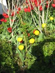 IMG_1072.jpg