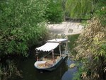 IMG_1481.jpg