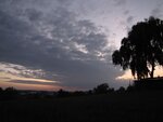 IMG_1526.jpg