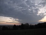 IMG_1534.jpg