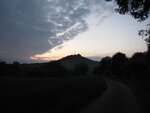 IMG_1554.jpg