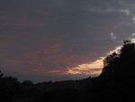 IMG_1559.jpg