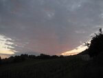 IMG_1565.jpg