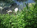 IMG_1805.jpg