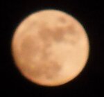 div. 17.05.10 03.jpg