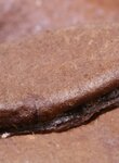Bilderrätsel klein1.jpg