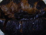 xx 005.jpg
