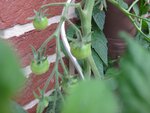 IMG_0355.jpg