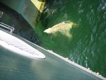 IMG_1859.jpg