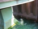 IMG_1864.jpg