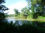 P1000163.jpg